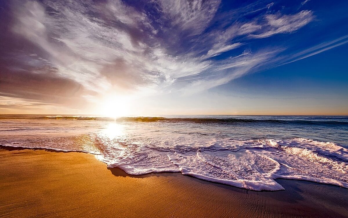 California California